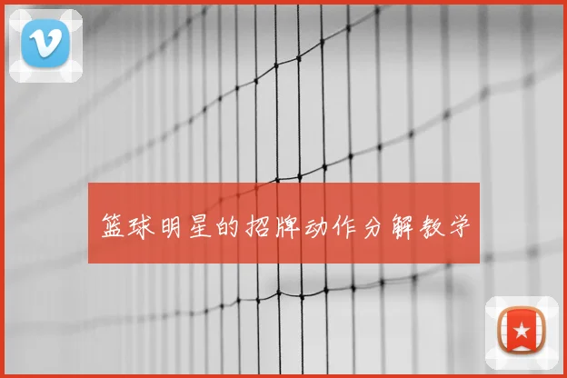 篮球明星的招牌动作分解教学