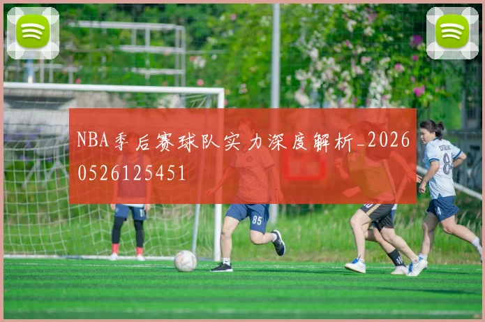 NBA季后赛球队实力深度解析_20260526125451