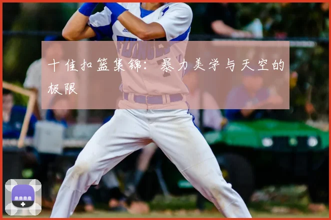 十佳扣篮集锦：暴力美学与天空的极限